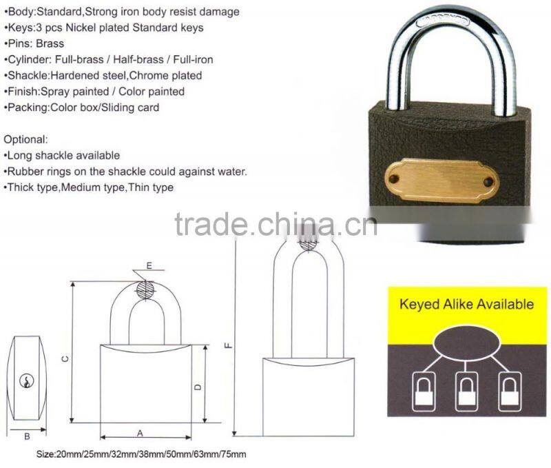 Grey Iron Padlock