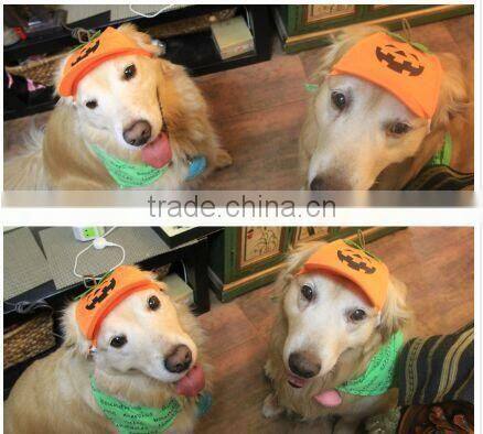 pumpkin base ball cap for dog , dog pumpkin base ball cap,pumpkin dog hat