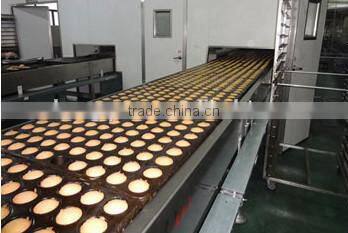 canvas webbing/endless cotton biscuit webbing/cotton belt for bake biscuit shengquan