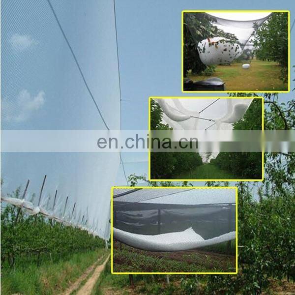 anti bee net / HDPE bee netting / anti hail netting