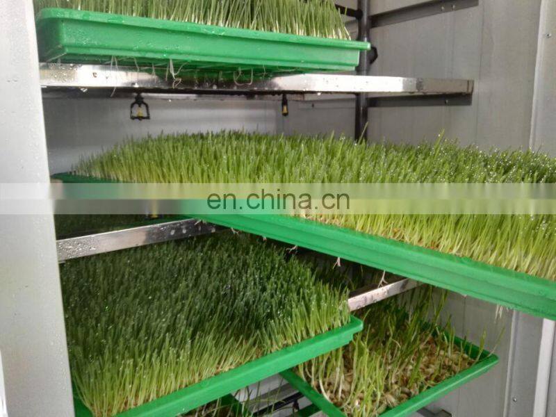 mung soya bean sprout machine /alfalfa bean sprout growing machine/hydroponic fodder machine