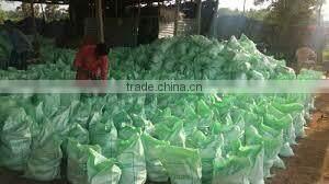 Fresh matured coconut supplier