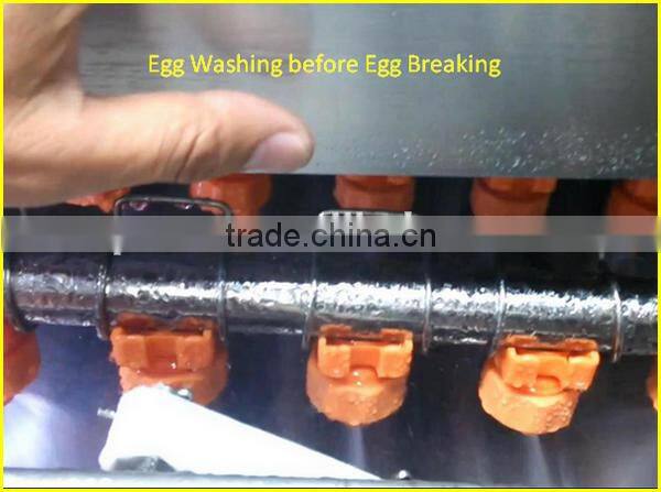 10000pcs/h egg brush washer egg processing machine , egg cleaning candling machine ,