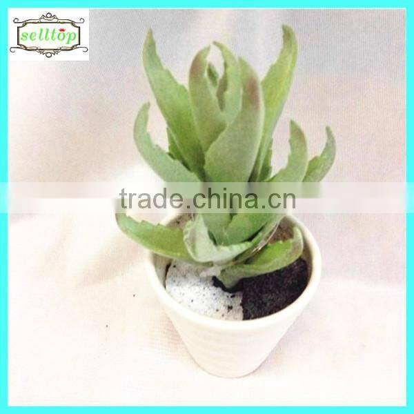 10cm new design hot sale artificial mini cactus plants