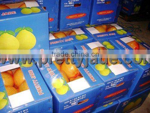 2013 new crop fresh honey pomelo