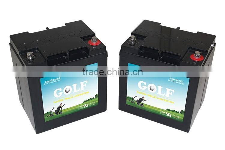 EverExceed best price 48 volt lithium battery pack/golf cart battery 48v/lithium battery for golf cart