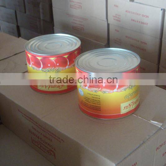 Factory sell metal tin 210g canned ST-RITA tomato paste to Africa market looking for distributors in africa