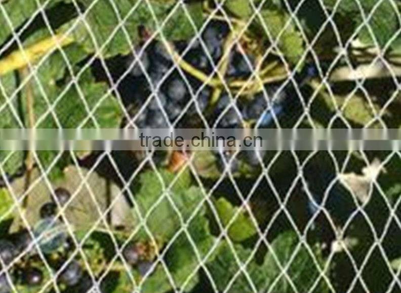 Protection bird netting