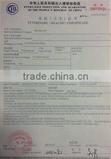 Animal Corn Gluten Meal from China to Korea and Malaysia