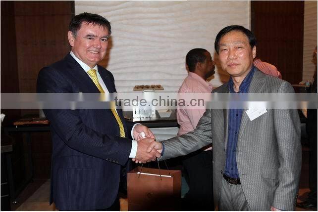 AR FIBERGLASS CHOPPED STRAND MAT