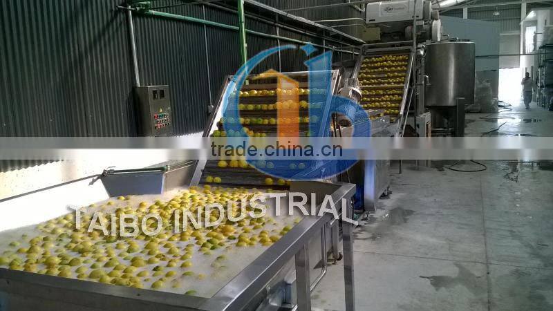 Automatic fruits and vegetables washing machine for washing apples/ berry cleaning