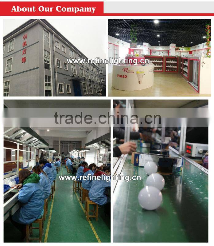 led flood light COB outdoor waterproof IP65 750 lumen 10w led flood light