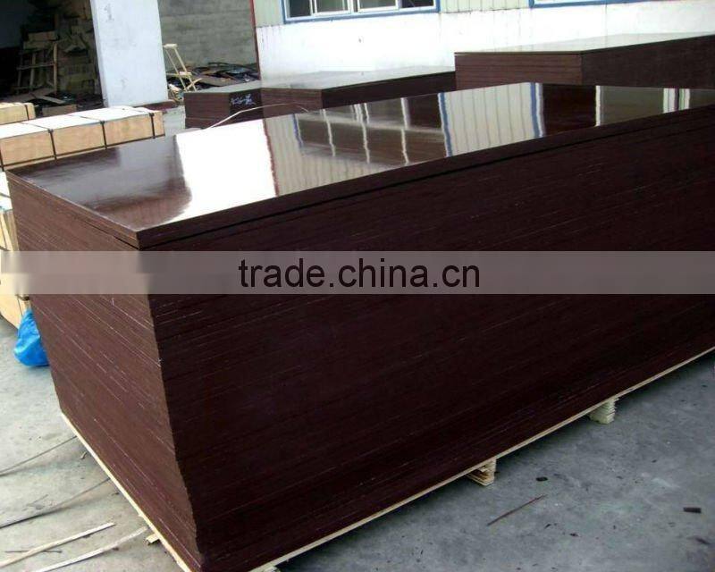 Film faced plywood 12mm