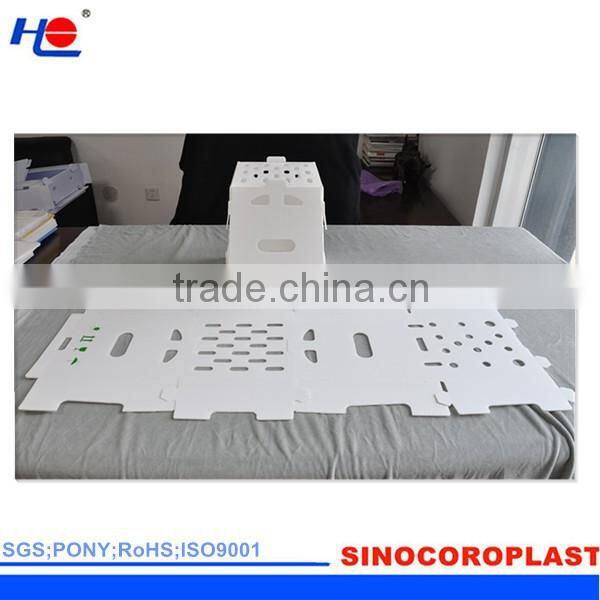 PP Durable Fruit Boxes