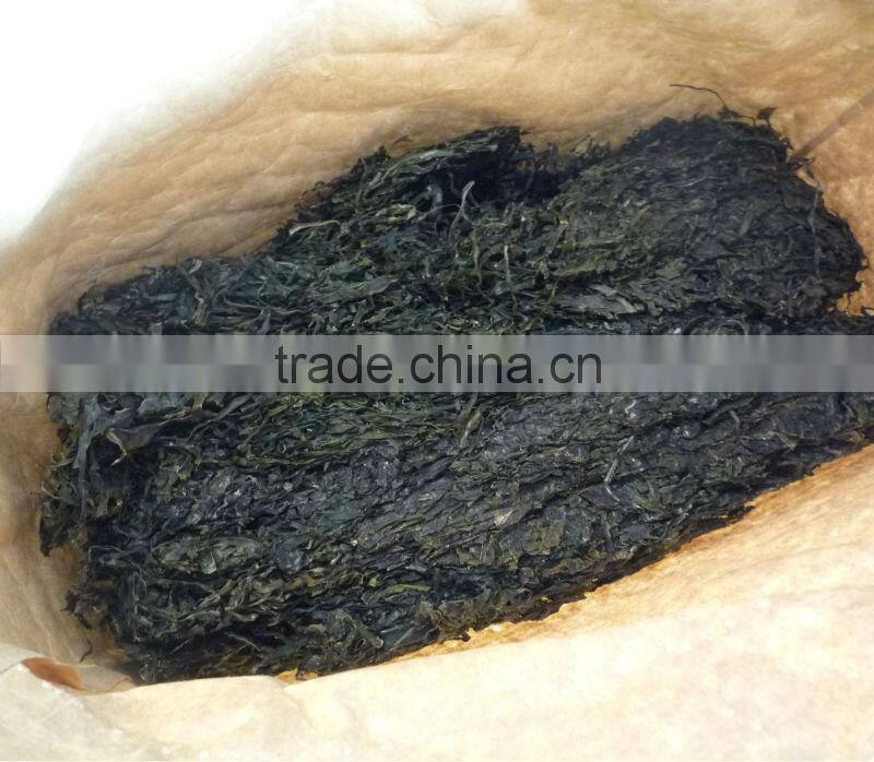 2014 Machine Dried shredded seaweed laminaria(manufacturer)