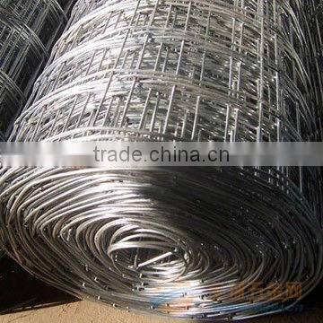 galvanized welded wire mesh/welded mesh/square wire mesh