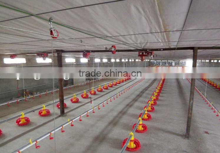 standardized chicken/broiler shed equipment producers