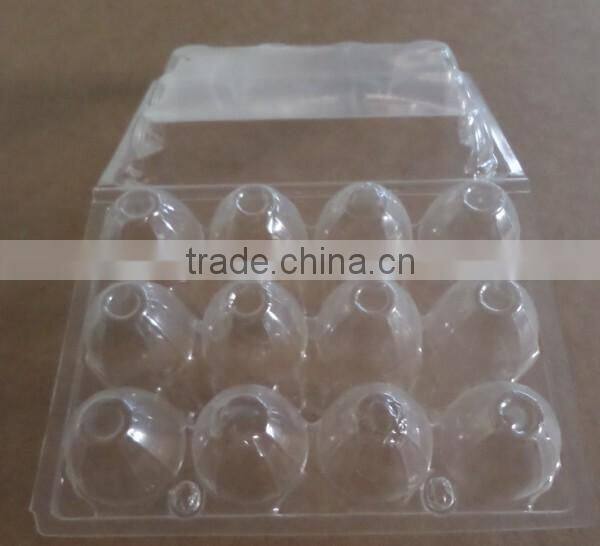 12 eggs plastic box