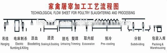 chicken slaughtering machine meat processing machinery