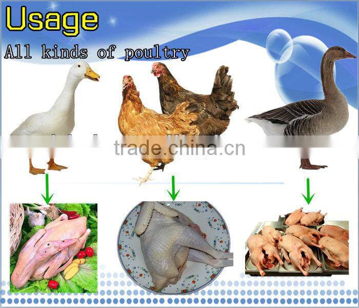 High unhairing rate NCH-50 CE approved chicken plucking machine/live cattle prices with full automatic