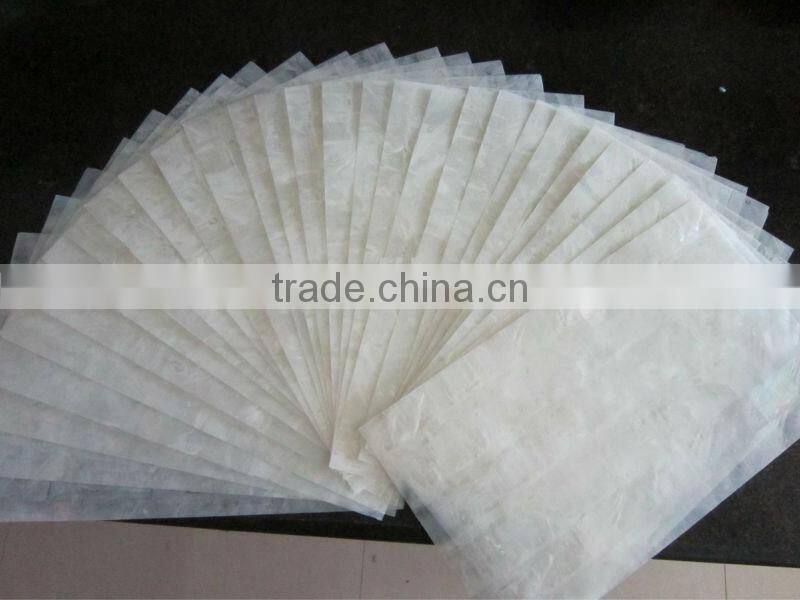 white lip mother of pearl shell veneer