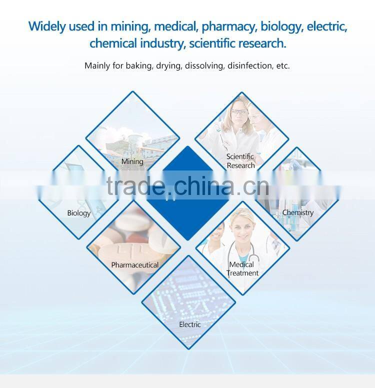 Micro-computer Control Electric Blowing Drying Box