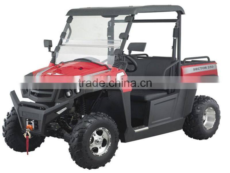 250cc Practical longer version UTV/250cc EEC&COC Automatic Chain drive UTV with High-low-Reverse gear (TKU250E-2B)