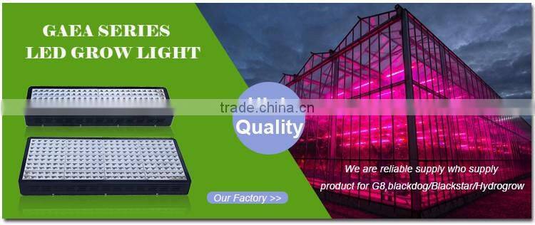 1200W Epistar Led Grow Light 5W Led Chip,Potato Led Grow Light