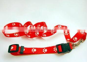 Dog Leash and Collar