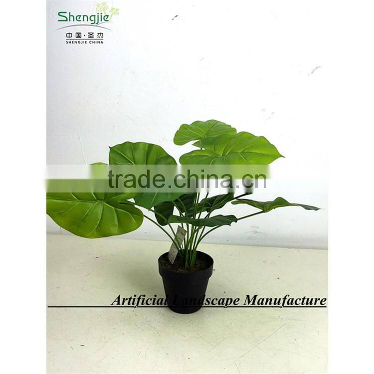 SAS201603 China Supplier Artificial Greenery Plant,Indoor Fake Ornamental Foliage Plant