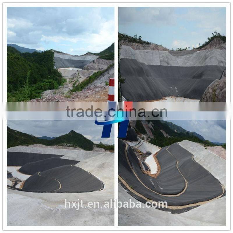 Fish farm pond liner leakproof film impermeable HDPE geomembrane