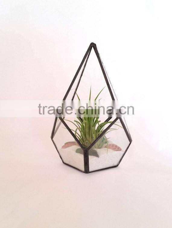Kure Beach Sea Shells Black Metal Pyramid Ionantha Air Plant Glass Terrarium