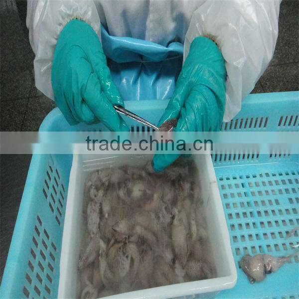 new season iqf boneless cooking squid