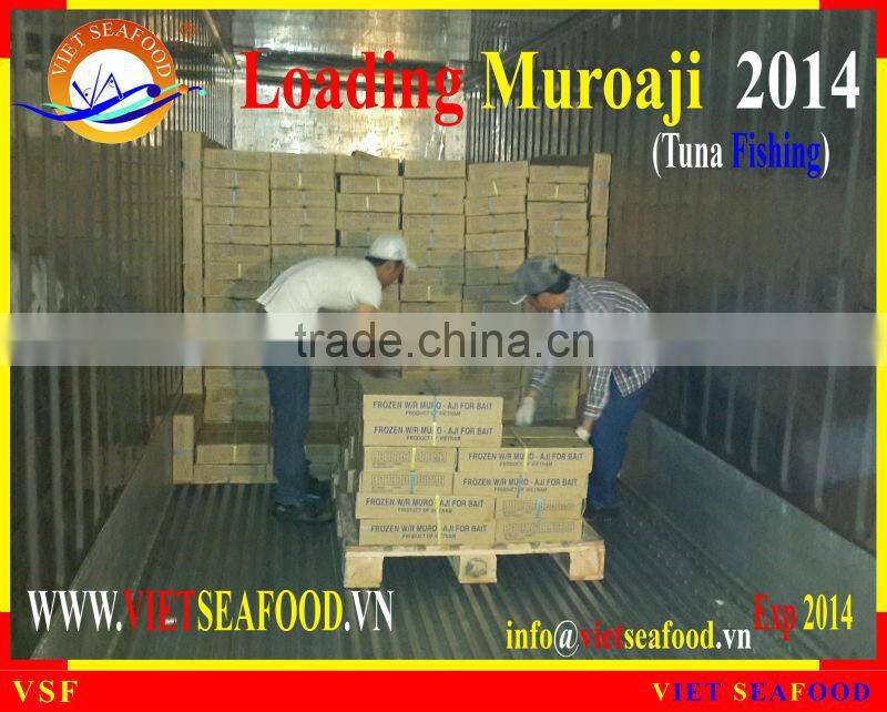 LOADING MUROAJI FOR TUNA BAIT