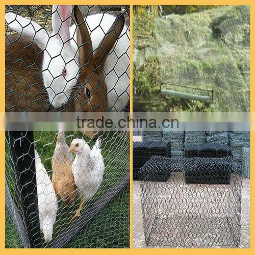 Plastic Coated Poultry Netting