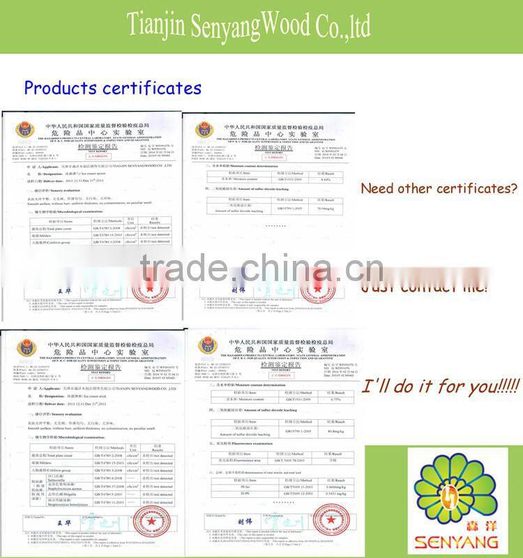 DIY toys white colorful round flat bamboo wooden craft sticks