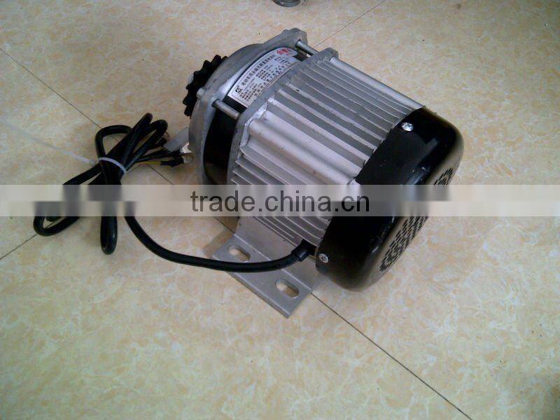 Brushless DC 850w motor for e-rickshaw