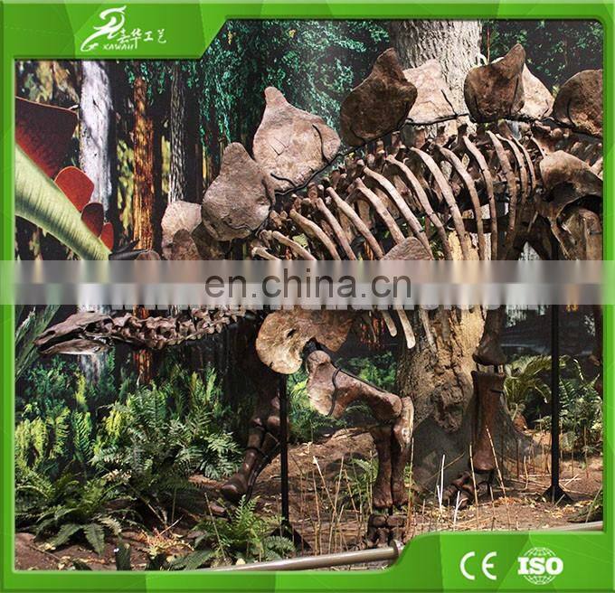 KAWAH Exibithion Life Size Stegosaurus Dinosaurs Fossils For Sale