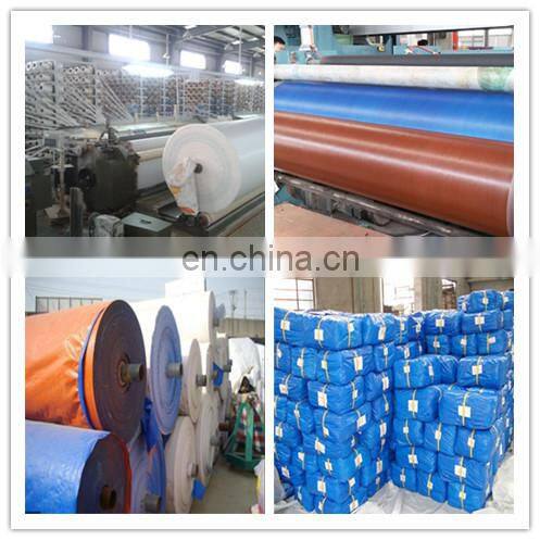 Waterproof Blue Orange Polyethylene Tarpaulin/PE Tarpaulin/Canvas/Sheet/Roll for Truck Cover