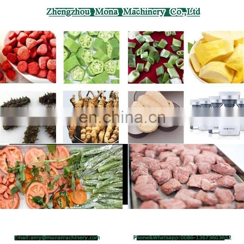 Flowers freeze dried machinery lyophilizer in Vacuum Drying Equipment /Vegetable Freeze Dryer / Milk lyophilizer