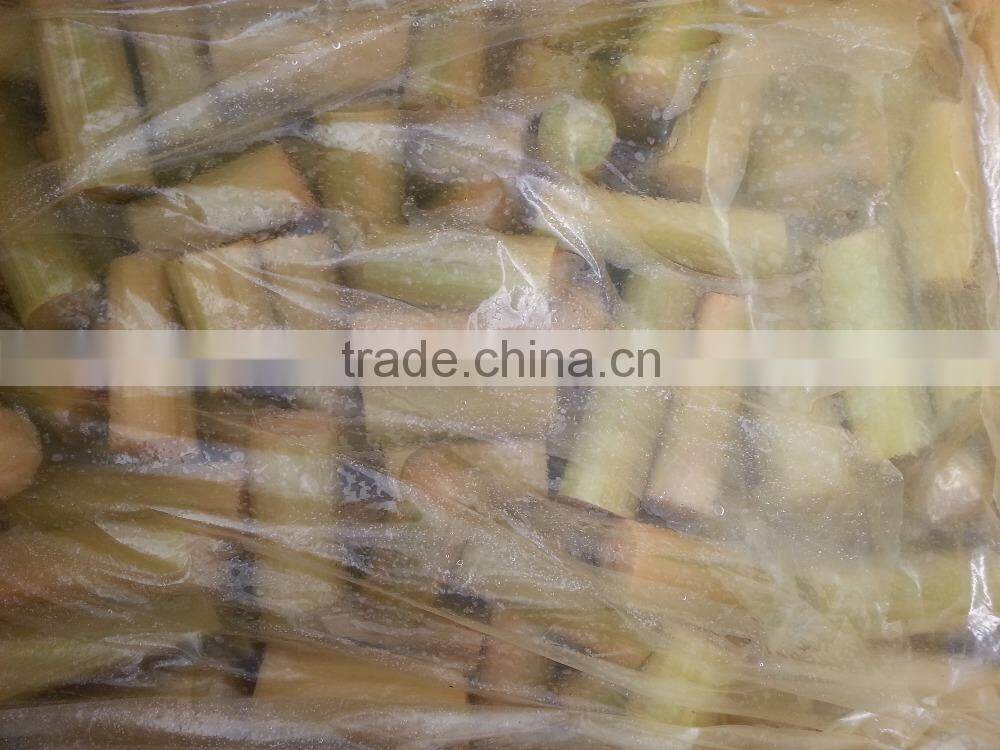 Best Fresh Sweet Sugar Cane from Vietnam