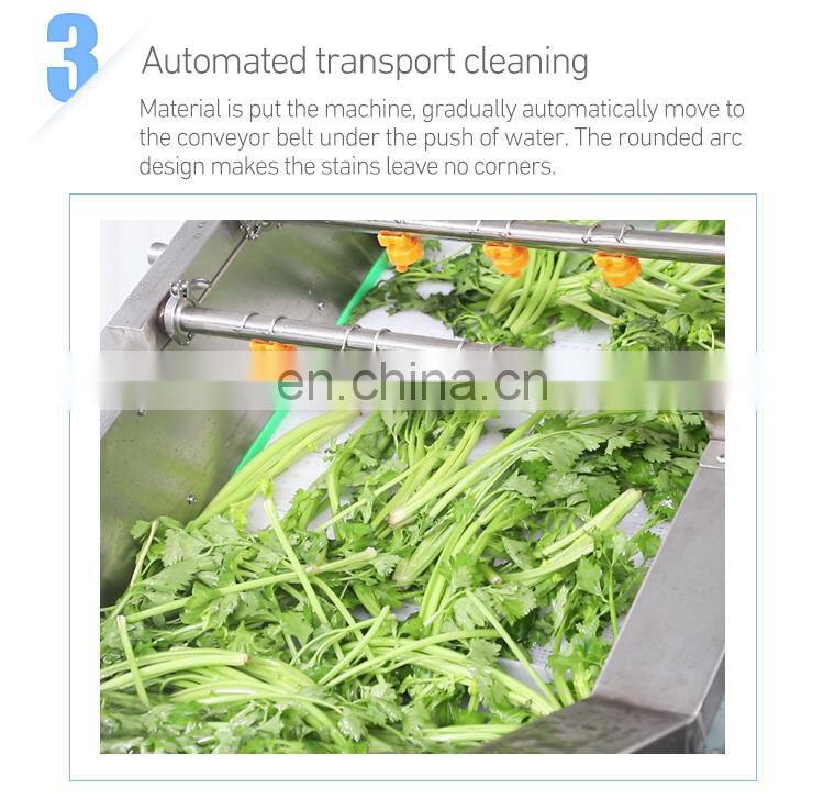 Automatic Vegetable Fruit washing line fruit vegetable processing machine automatic fruit washing air dryer processing line