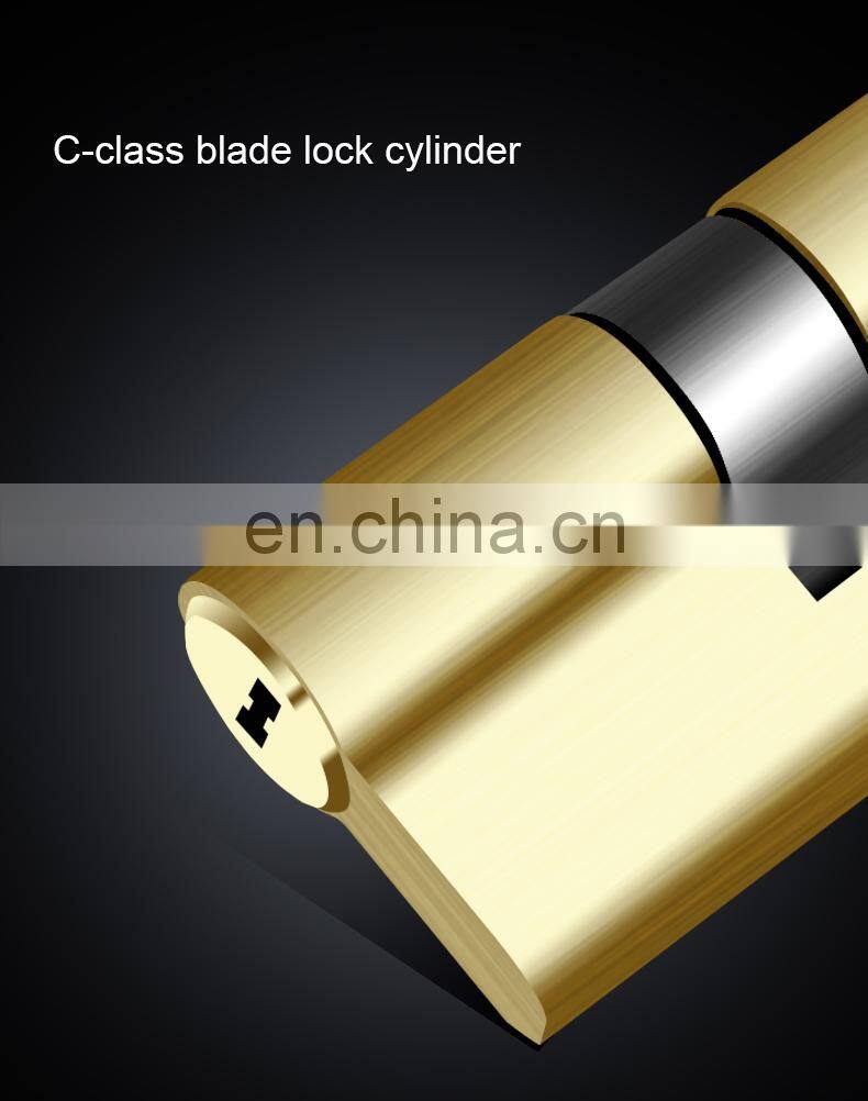 Good Quality Hot Sale Smart RFID Card Home Door Lock Electric smart Lock