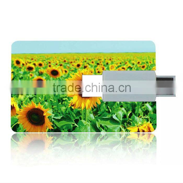 Popular promotional credit card pen drive
