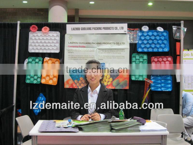 200X180cm Baby Roll Up Play Mat