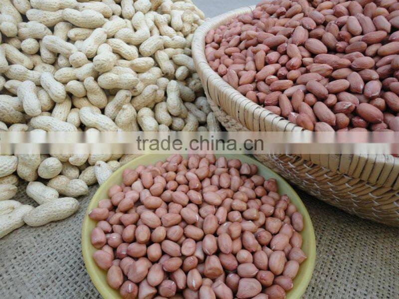 best selling products new organic peanuts pistachios roasted salted price
