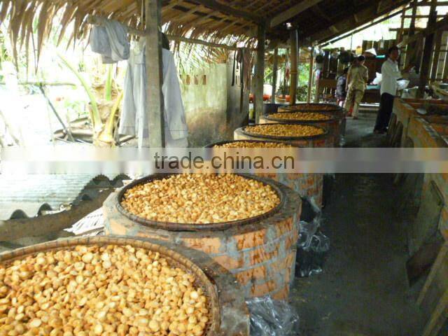 SMALL YOUNG BETEL NUT FOR PROCESSING IN CHINA (Skype: anda.ty, Email: katherine.vilaconic@)