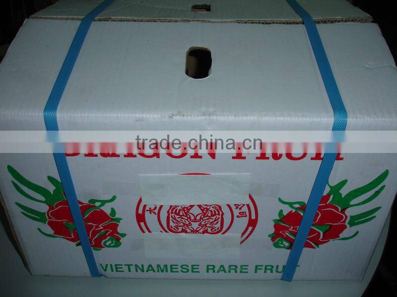 Fresh Dragon Fruit - new crop with premium quality