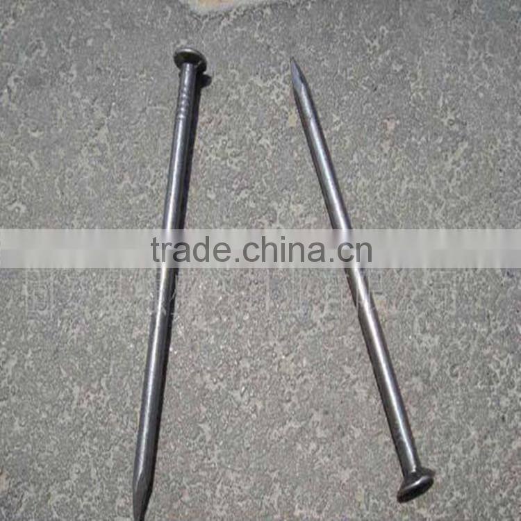 nail suppliers/china nails with free samples