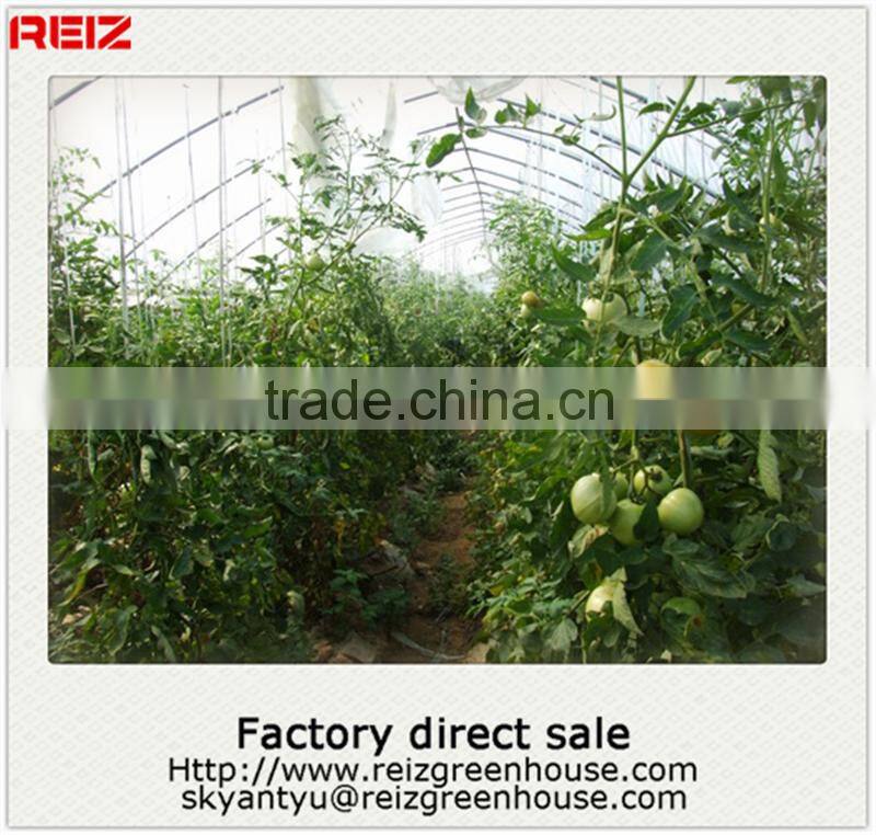 China greenhouse fogging system